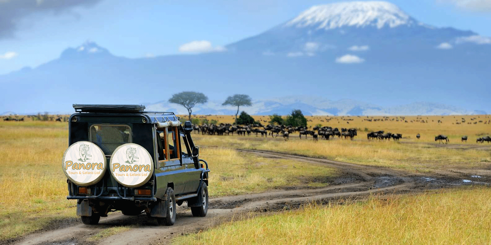 tourism management in kenya